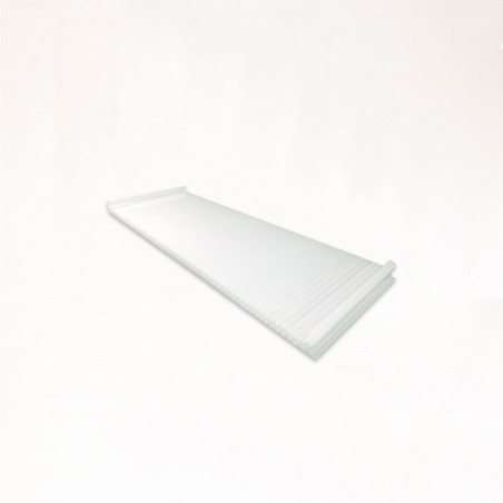 Panel Sandwich Transparente